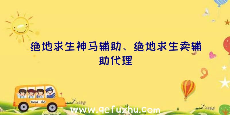 绝地求生神马辅助、绝地求生卖辅助代理