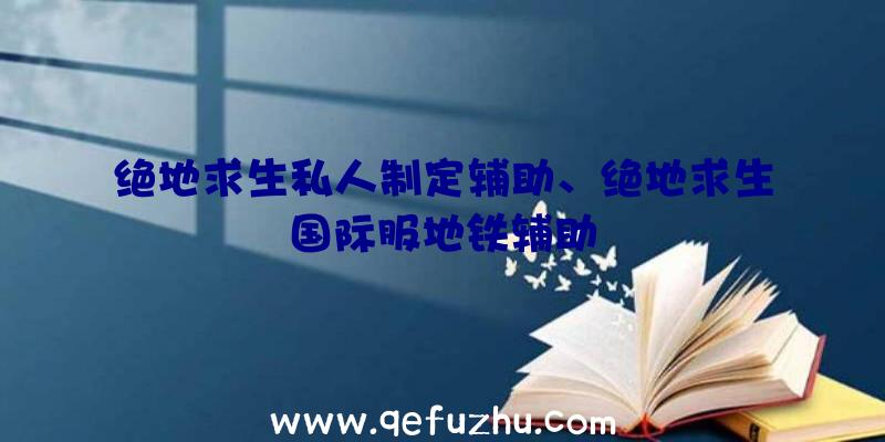 绝地求生私人制定辅助、绝地求生国际服地铁辅助