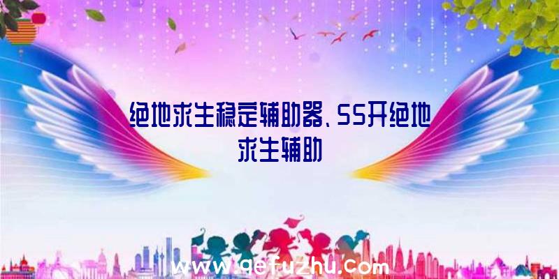 绝地求生稳定辅助器、55开绝地求生辅助