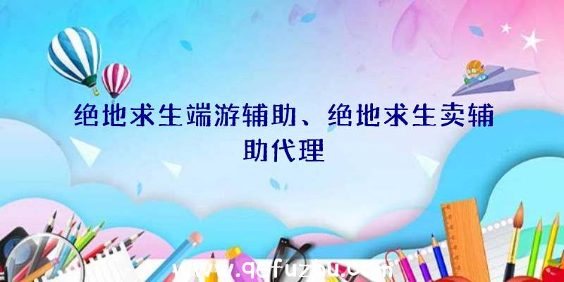 绝地求生端游辅助、绝地求生卖辅助代理