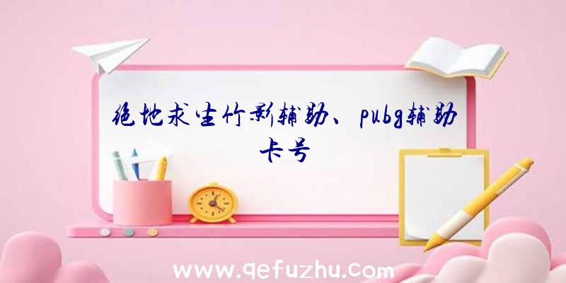 绝地求生竹影辅助、pubg辅助卡号