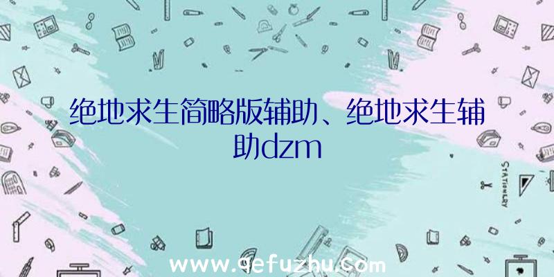 绝地求生简略版辅助、绝地求生辅助dzm