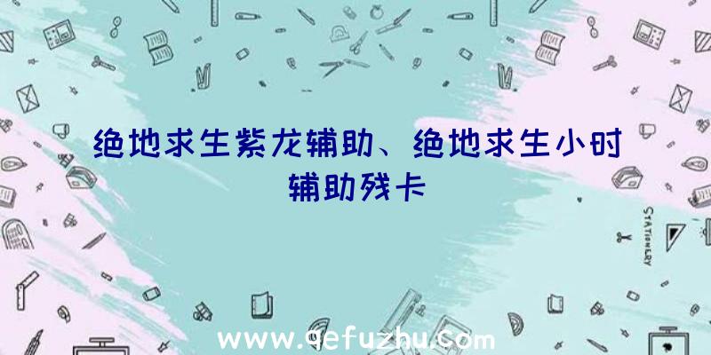 绝地求生紫龙辅助、绝地求生小时辅助残卡