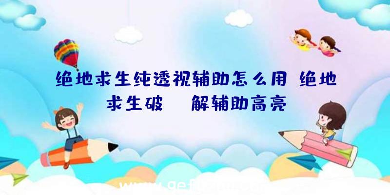 绝地求生纯透视辅助怎么用、绝地求生破解辅助高亮