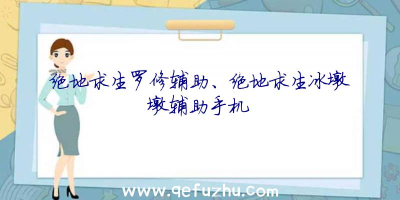 绝地求生罗修辅助、绝地求生冰墩墩辅助手机