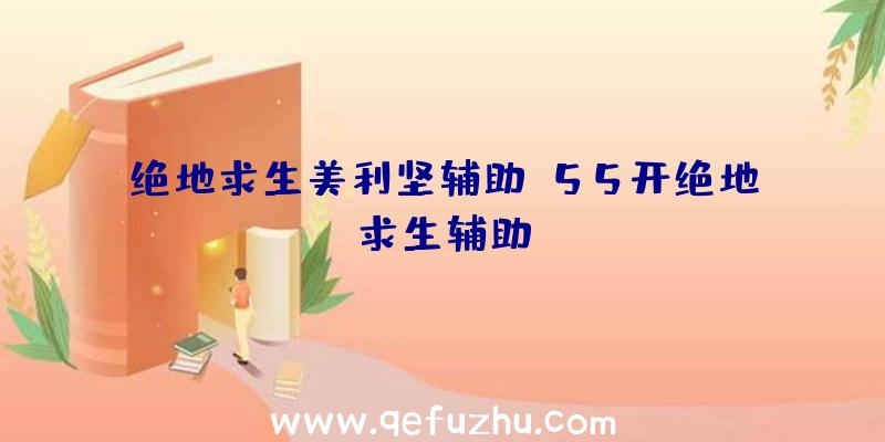 绝地求生美利坚辅助、55开绝地求生辅助