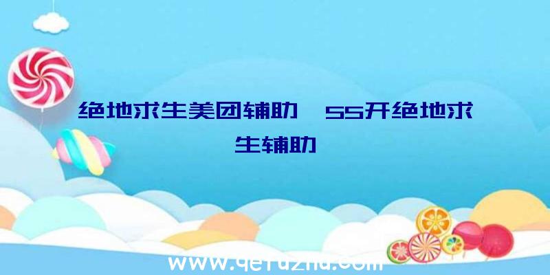 绝地求生美团辅助、55开绝地求生辅助