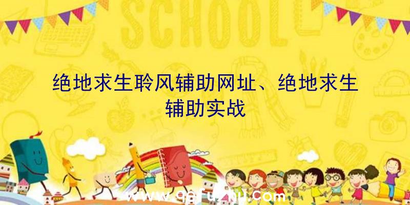 绝地求生聆风辅助网址、绝地求生辅助实战