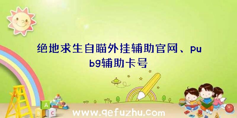 绝地求生自瞄外挂辅助官网、pubg辅助卡号