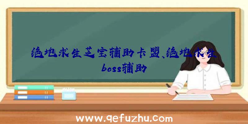 绝地求生芝宝辅助卡盟、绝地求生boss辅助