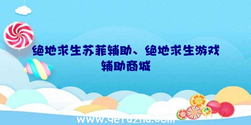 绝地求生苏菲辅助、绝地求生游戏辅助商城