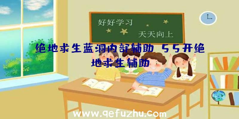 绝地求生蓝洞内部辅助、55开绝地求生辅助