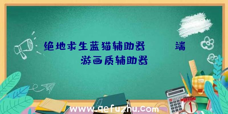 绝地求生蓝猫辅助器、pubg端游画质辅助器