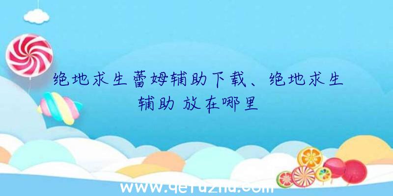 绝地求生蕾姆辅助下载、绝地求生辅助