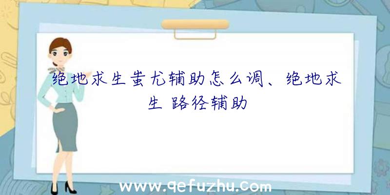 绝地求生蚩尤辅助怎么调、绝地求生