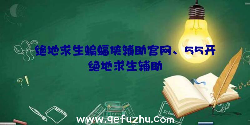 绝地求生蝙蝠侠辅助官网、55开绝地求生辅助
