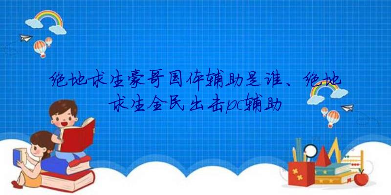 绝地求生豪哥国体辅助是谁、绝地求生全民出击pc辅助