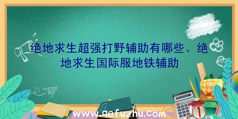 绝地求生超强打野辅助有哪些、绝地求生国际服地铁辅助