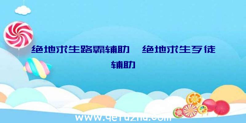 绝地求生路霸辅助、绝地求生歹徒辅助