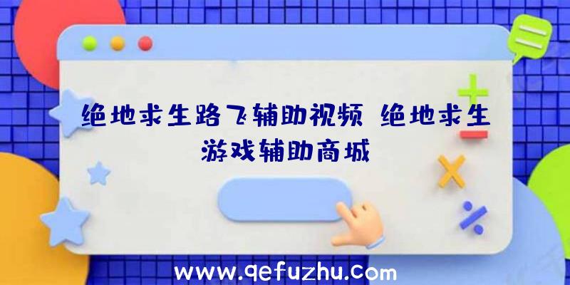 绝地求生路飞辅助视频、绝地求生游戏辅助商城