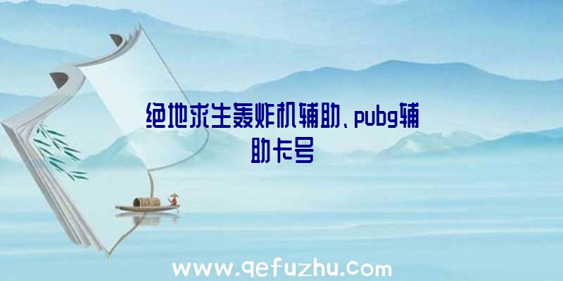 绝地求生轰炸机辅助、pubg辅助卡号