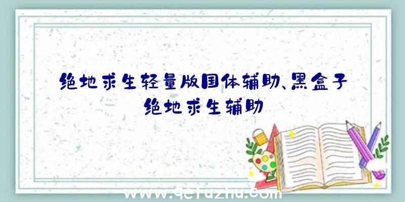 绝地求生轻量版国体辅助、黑盒子绝地求生辅助