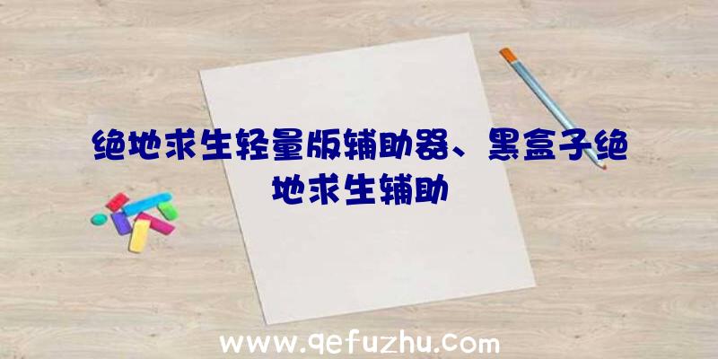 绝地求生轻量版辅助器、黑盒子绝地求生辅助