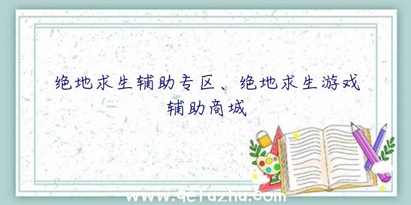 绝地求生辅助专区、绝地求生游戏辅助商城