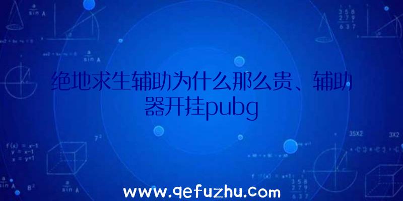 绝地求生辅助为什么那么贵、辅助器开挂pubg