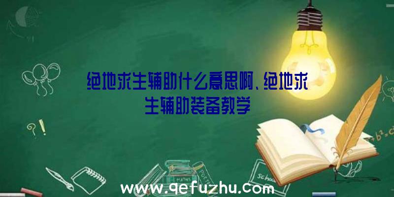 绝地求生辅助什么意思啊、绝地求生辅助装备教学