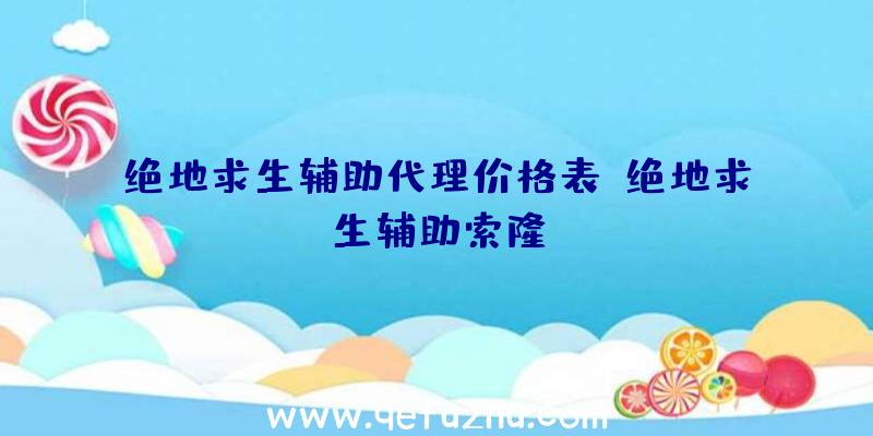 绝地求生辅助代理价格表、绝地求生辅助索隆