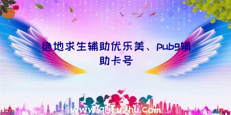 绝地求生辅助优乐美、pubg辅助卡号