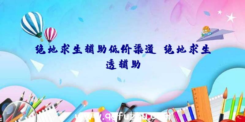 绝地求生辅助低价渠道、绝地求生透辅助