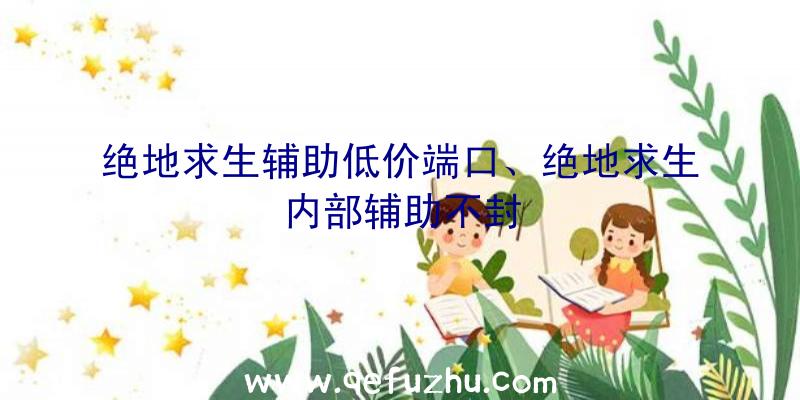 绝地求生辅助低价端口、绝地求生内部辅助不封