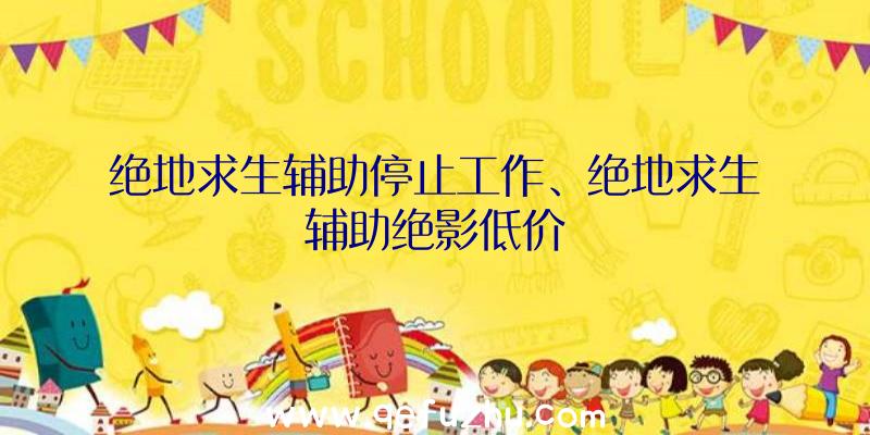 绝地求生辅助停止工作、绝地求生辅助绝影低价