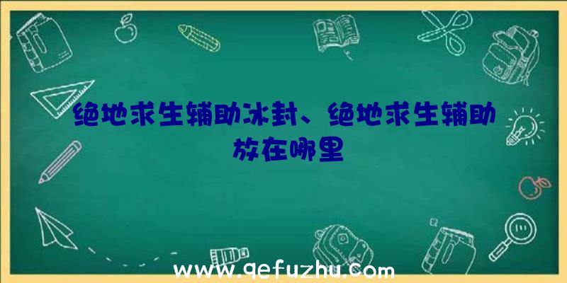 绝地求生辅助冰封、绝地求生辅助