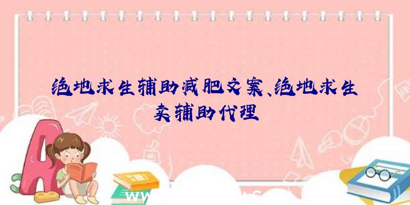 绝地求生辅助减肥文案、绝地求生卖辅助代理