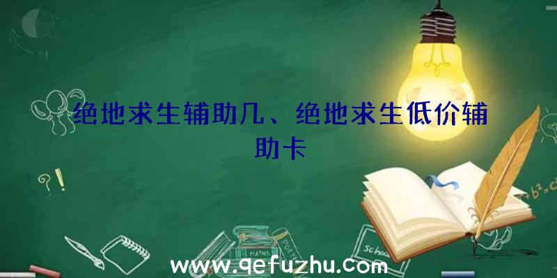 绝地求生辅助几、绝地求生低价辅助卡