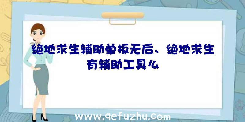 绝地求生辅助单板无后、绝地求生有辅助工具么