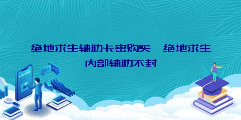 绝地求生辅助卡密购买、绝地求生内部辅助不封