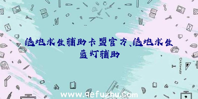 绝地求生辅助卡盟官方、绝地求生蓝灯辅助