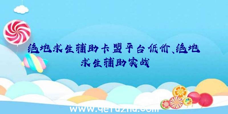 绝地求生辅助卡盟平台低价、绝地求生辅助实战