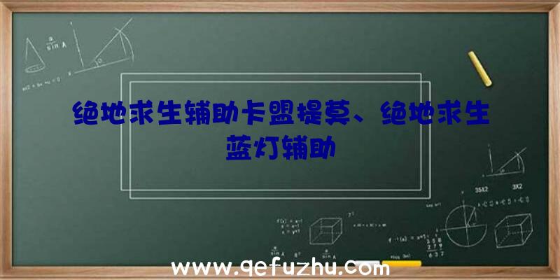 绝地求生辅助卡盟提莫、绝地求生蓝灯辅助