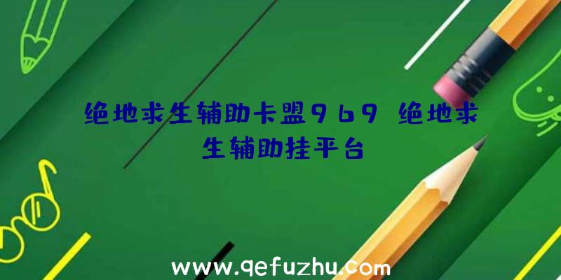 绝地求生辅助卡盟969、绝地求生辅助挂平台