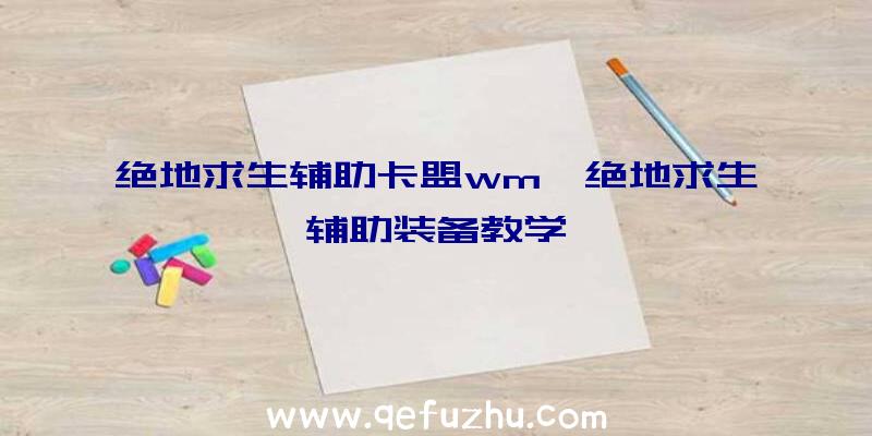 绝地求生辅助卡盟wm、绝地求生辅助装备教学