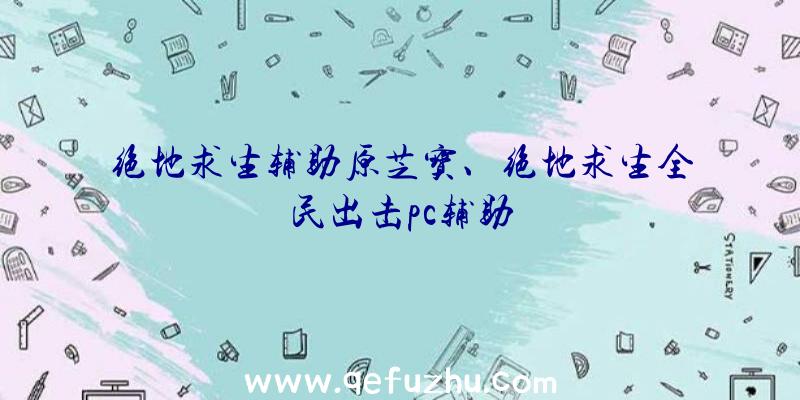 绝地求生辅助原芝宝、绝地求生全民出击pc辅助