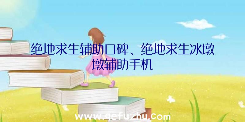 绝地求生辅助口碑、绝地求生冰墩墩辅助手机