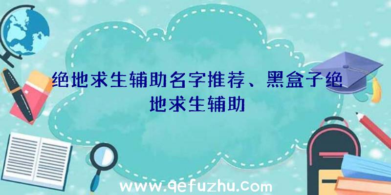 绝地求生辅助名字推荐、黑盒子绝地求生辅助