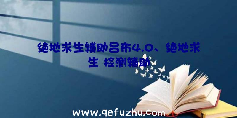 绝地求生辅助吕布4.0、绝地求生