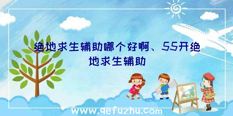 绝地求生辅助哪个好啊、55开绝地求生辅助